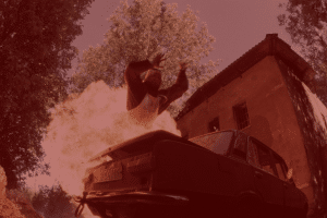 Scandinavian Stunt Group